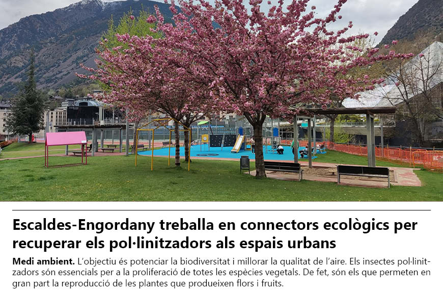 connectors-ecologics-per-recuperar-els-pollinitzadors-als-espais-urbans