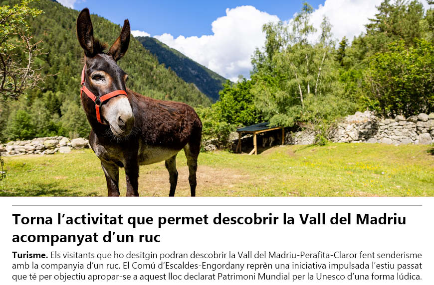 Torna l’activitat que permet descobrir la Vall del Madriu acompanyat d’un ruc